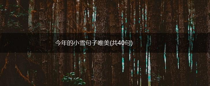 今年的小雪句子唯美(共40句),第1张