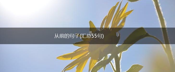 从前的句子(汇总55句),第1张