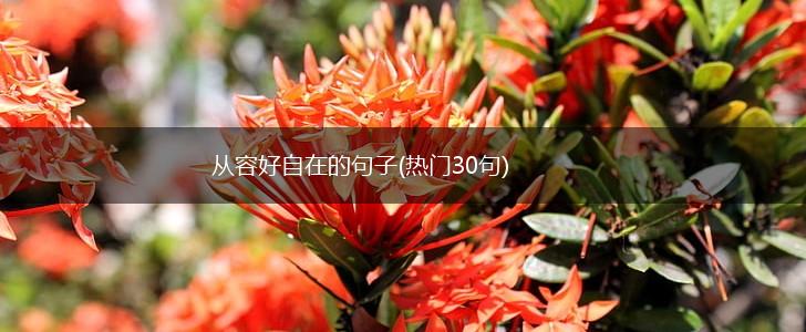 从容好自在的句子(热门30句),第1张