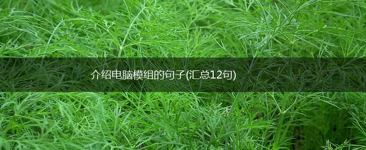 介绍电脑模组的句子(汇总12句),第1张