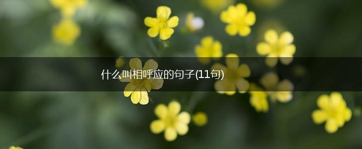 什么叫相呼应的句子(11句),第1张