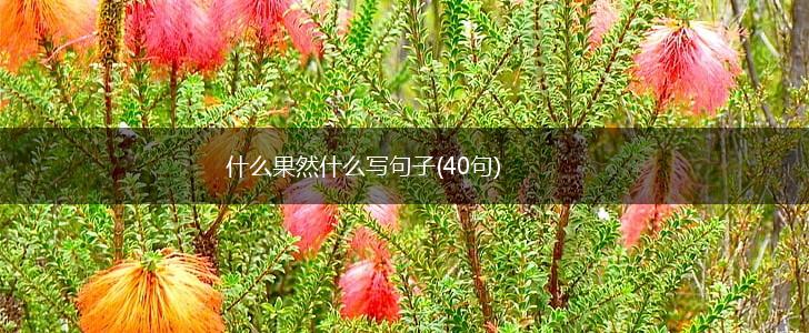 什么果然什么写句子(40句),第1张