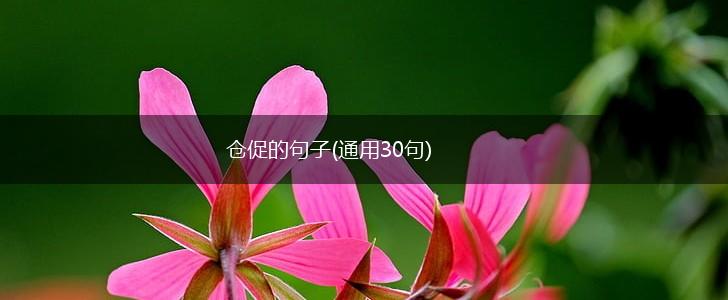 仓促的句子(通用30句),第1张