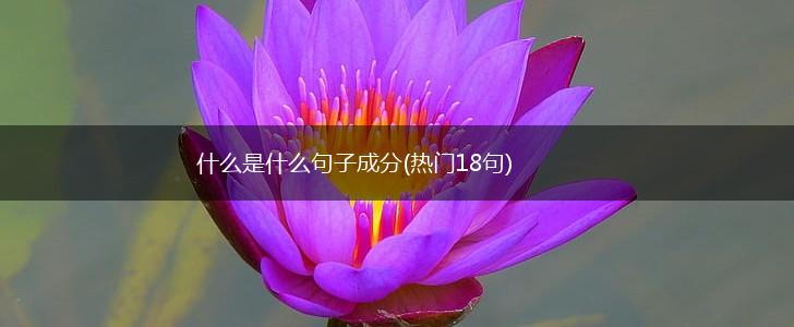 什么是什么句子成分(热门18句),第1张