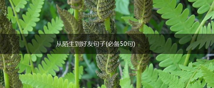 从陌生到好友句子(必备50句),第1张