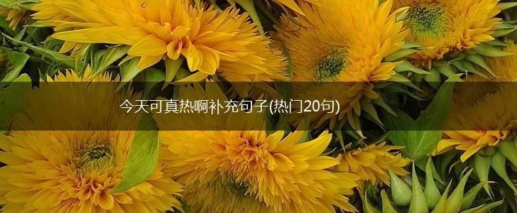 今天可真热啊补充句子(热门20句),第1张