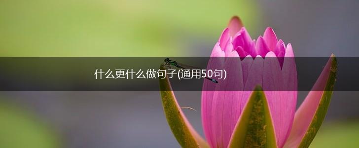 什么更什么做句子(通用50句),第1张