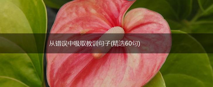 从错误中吸取教训句子(精选60句),第1张
