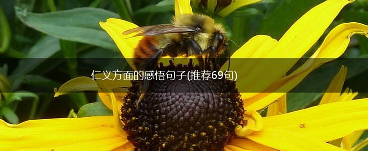 仁义方面的感悟句子(推荐69句),第1张