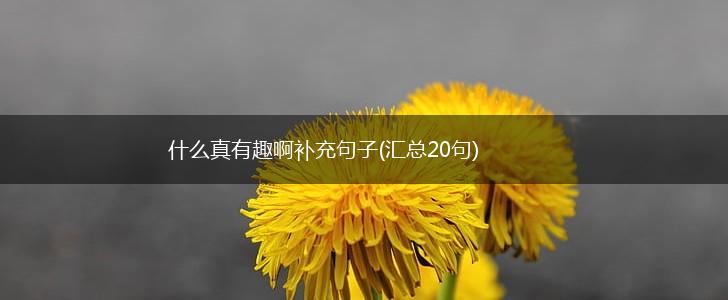 什么真有趣啊补充句子(汇总20句),第1张