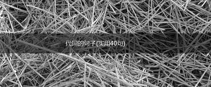代词的句子(实用40句),第1张