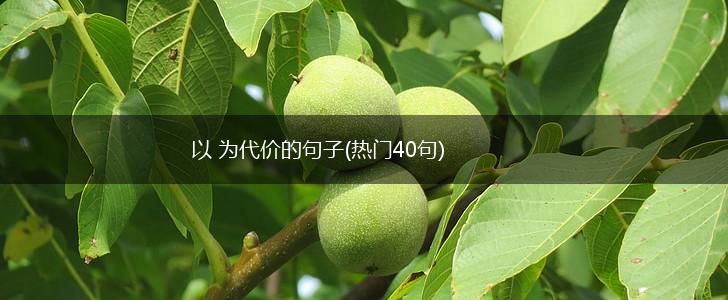 以 为代价的句子(热门40句),第1张