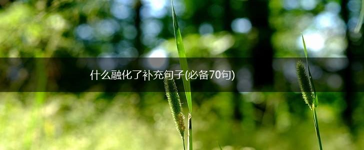 什么融化了补充句子(必备70句),第1张