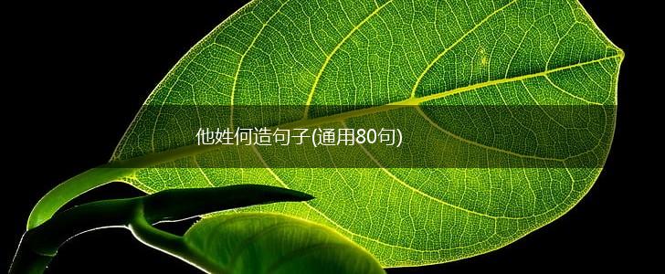他姓何造句子(通用80句),第1张