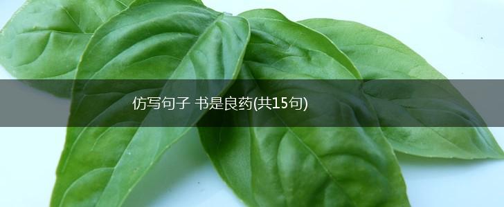 仿写句子 书是良药(共15句),第1张