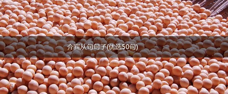 介宾从句句子(优选50句),第1张
