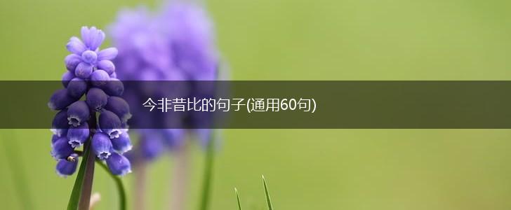 今非昔比的句子(通用60句),第1张