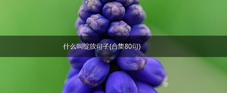 什么叫绽放句子(合集80句),第1张