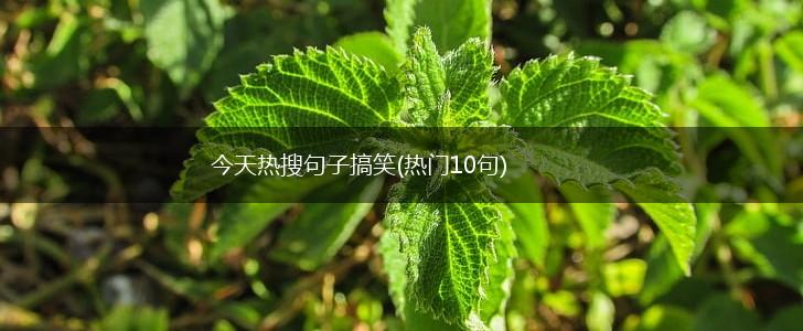 今天热搜句子搞笑(热门10句),第1张