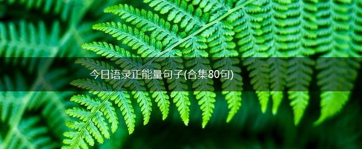 今日语录正能量句子(合集80句),第1张