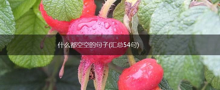 什么都空空的句子(汇总54句),第1张