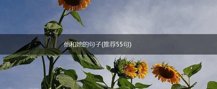 他和她的句子(推荐55句),第1张