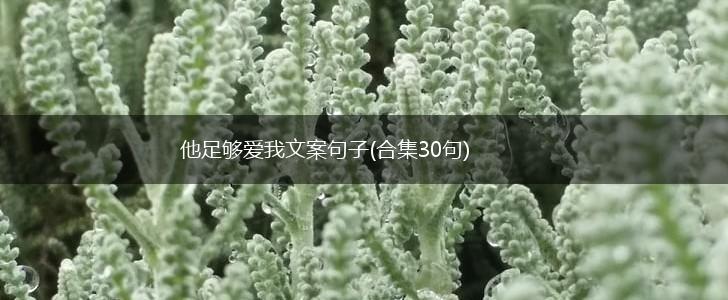 他足够爱我文案句子(合集30句),第1张