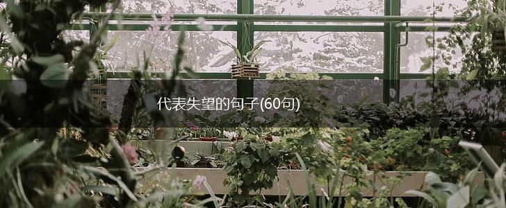 代表失望的句子(60句),第1张