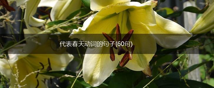 代表春天动词的句子(60句),第1张
