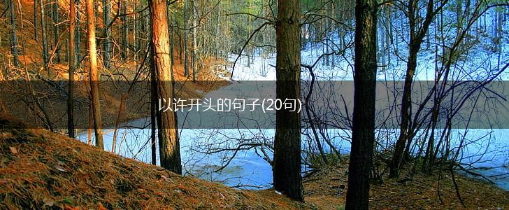 以许开头的句子(20句),第1张