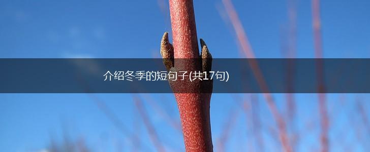 介绍冬季的短句子(共17句),第1张