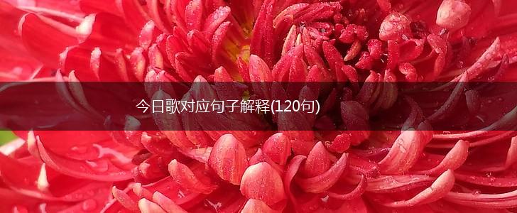 今日歌对应句子解释(120句),第1张