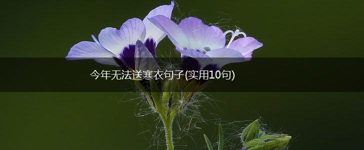今年无法送寒衣句子(实用10句),第1张