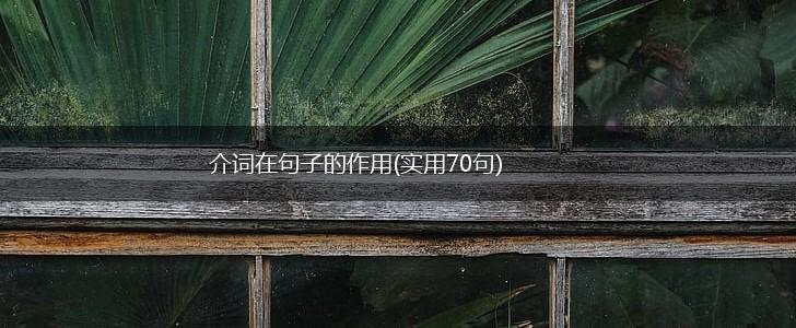 介词在句子的作用(实用70句),第1张
