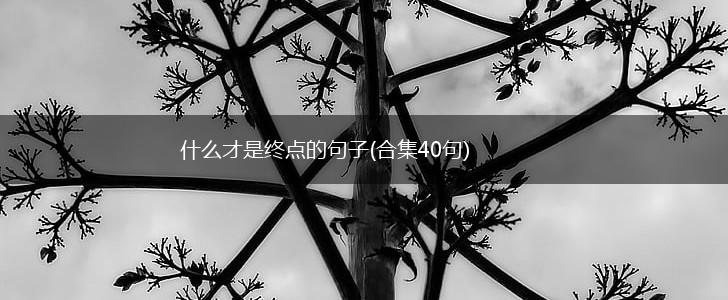 什么才是终点的句子(合集40句),第1张