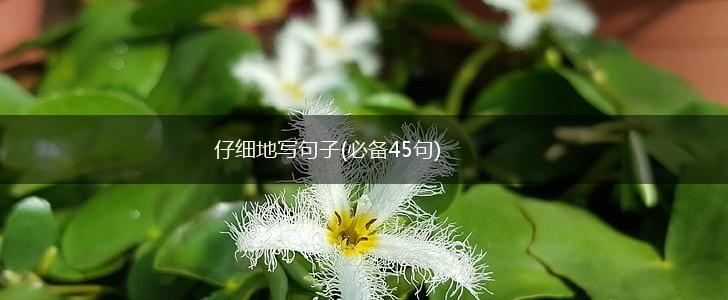 仔细地写句子(必备45句),第1张