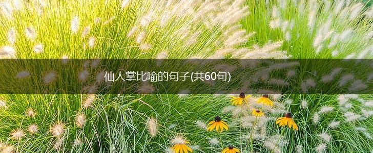 仙人掌比喻的句子(共60句),第1张