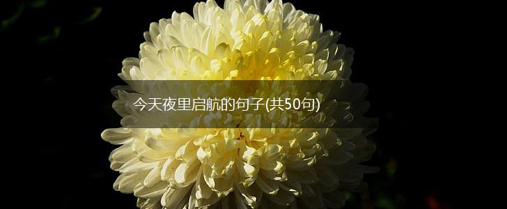 今天夜里启航的句子(共50句),第1张