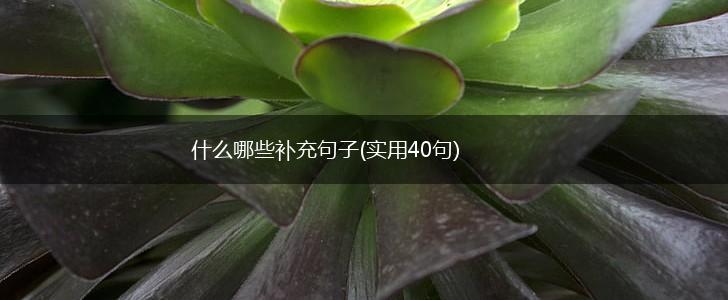 什么哪些补充句子(实用40句),第1张
