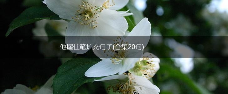 他握住笔扩充句子(合集20句),第1张