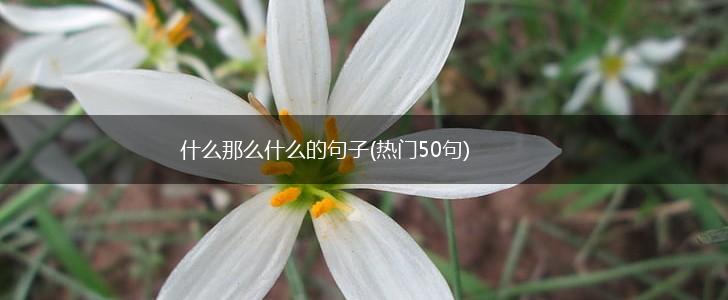 什么那么什么的句子(热门50句),第1张