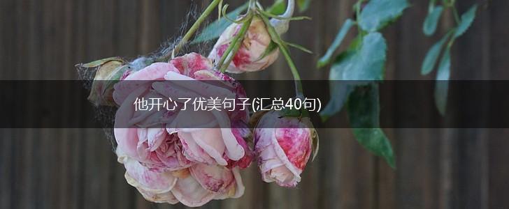 他开心了优美句子(汇总40句),第1张