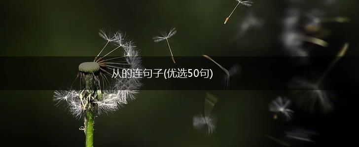 从的连句子(优选50句),第1张