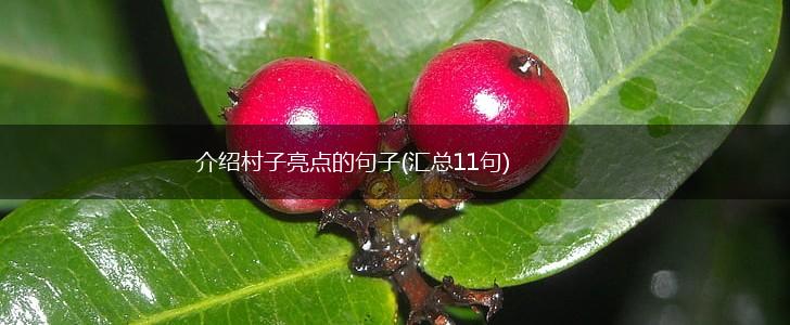 介绍村子亮点的句子(汇总11句),第1张