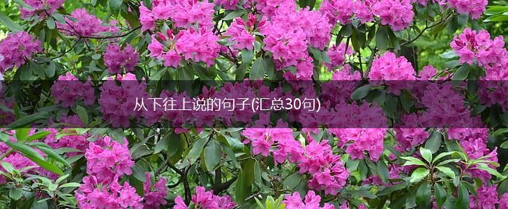 从下往上说的句子(汇总30句),第1张