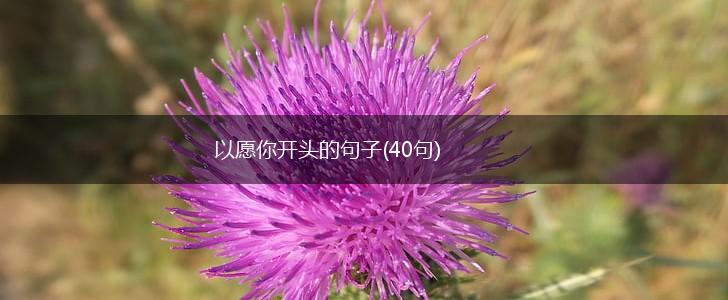 以愿你开头的句子(40句),第1张