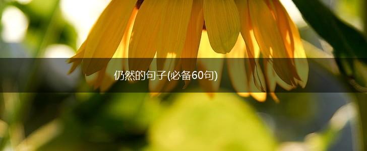 仍然的句子(必备60句),第1张