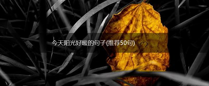 今天阳光好暖的句子(推荐50句),第1张