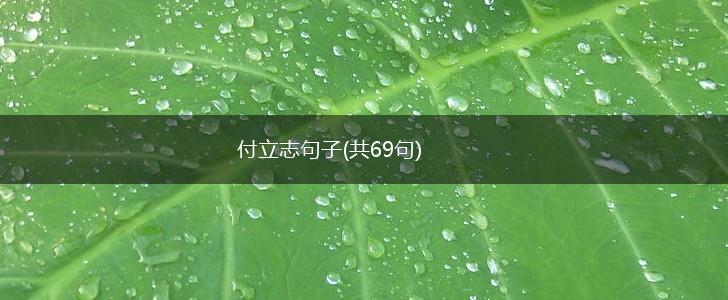 付立志句子(共69句),第1张