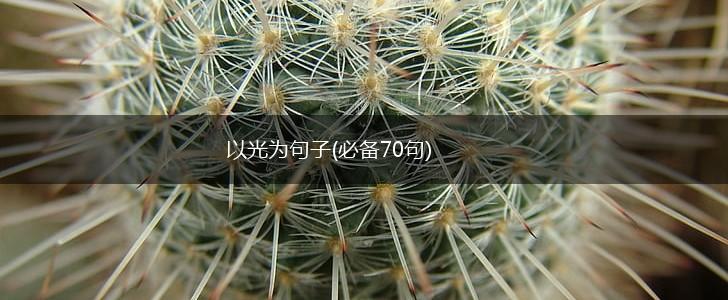 以光为句子(必备70句),第1张